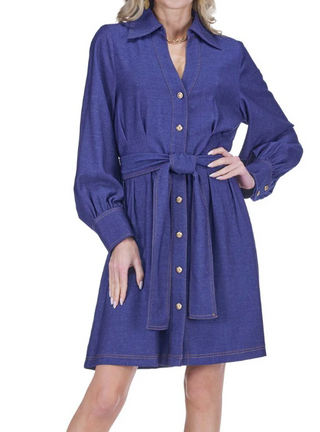 Denim Collared Shirtdress