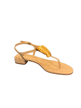 Carrano Carina, Cotton