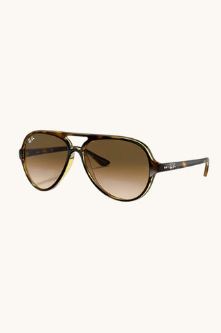 Rayban Cats 5000, Havana