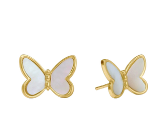 Papillon Stud, MOP