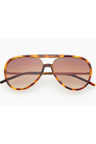 Shay WHS, Gradient Brown