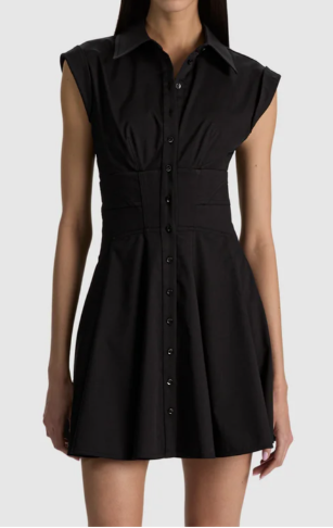 Kim Paneled Corset Flared Mini Shirt Dress