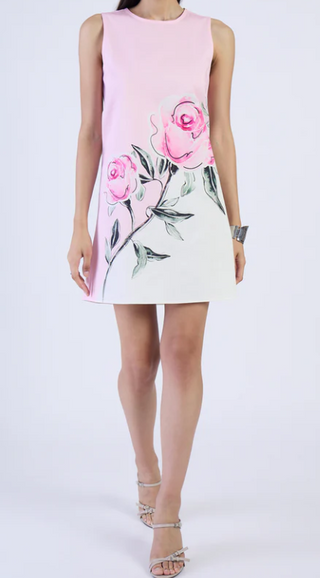 frankie dress Frankie Dress, Villa Rose M