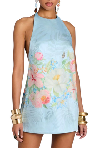 Drexley Dress, Blue Fleur