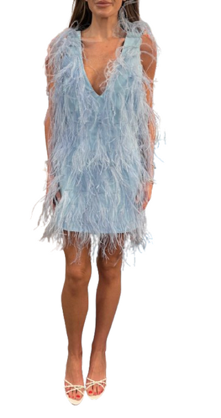 Paradise Feather Dress, Blue