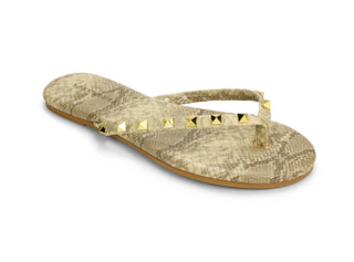 YS Rivington Stud, Snake