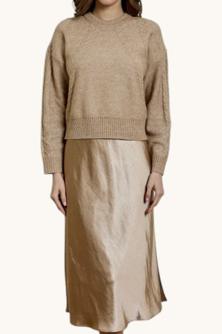 Bee Sweater/Dress Combo