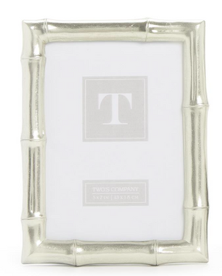 5x7 Silver Bamboo Frame