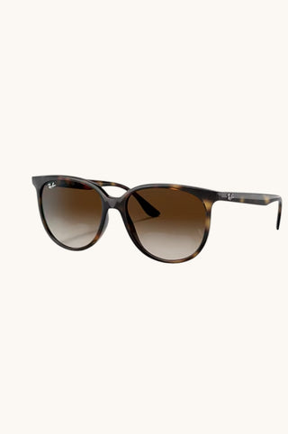 Rayban Havana, Gradient Brown