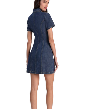 Jamie Denim Mini Dress