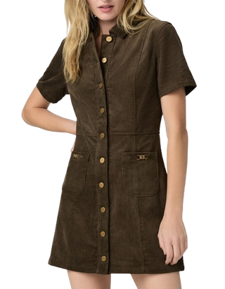 Clementine Dress With Seams - Fern