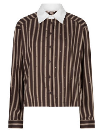 Brown Stud Striped Blouse