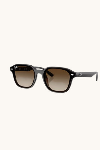 Rayban Transparent, Dark Brown