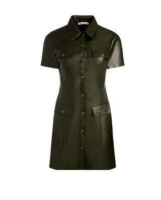 Jamie Vegan Mini Dress