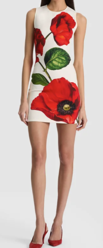 Dress with red floral design on a white background