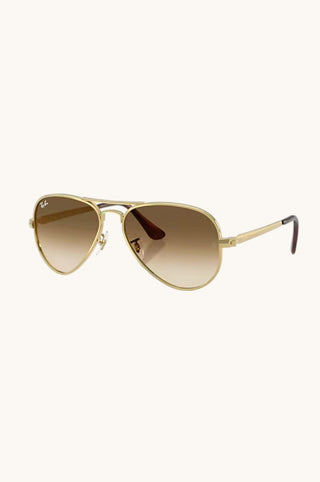 RB3925 Aviator Max Clear