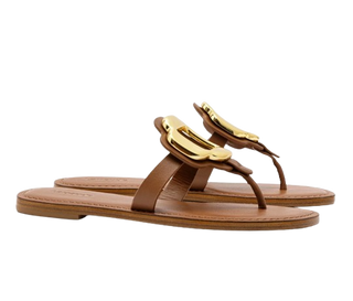 Brown sandals with gold straps on a white background