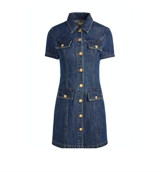 Jamie Denim Mini Dress