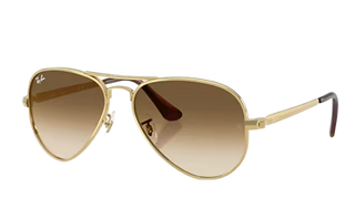 RB3925 Aviator Max Clear