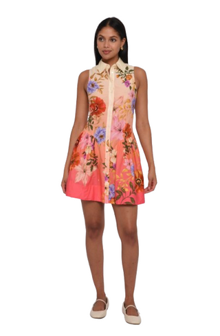 Sierra Mini Dress
