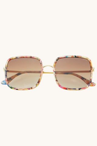 Cosmo, Rose Tortoise