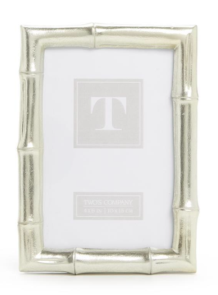 4x6 Silver Bamboo Frame