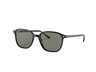 Ray Ban 2193