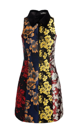 Velia Collared Mini Dress