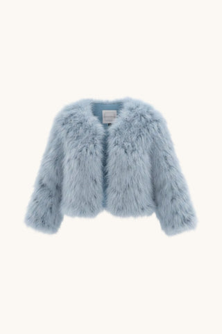 Fur Jacket, Blue