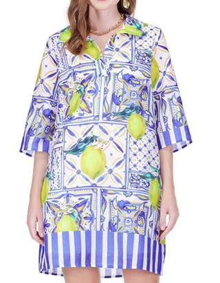 Tiles Placket Bell Sleeve Dress