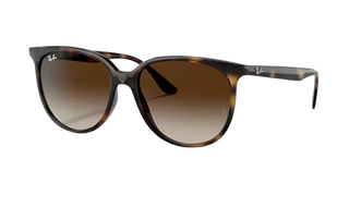 RB4378 Havana Brown