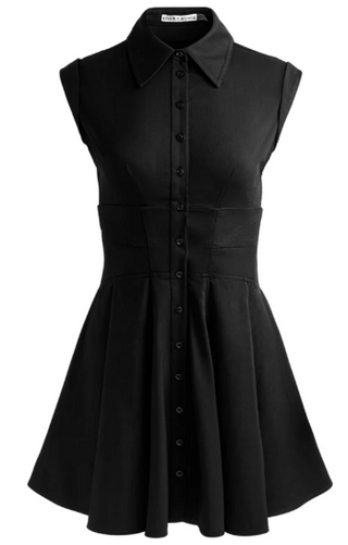 Kim Paneled Corset Flared Mini Shirt Dress