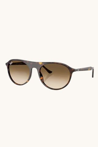 Havana Clear Gradient Brown