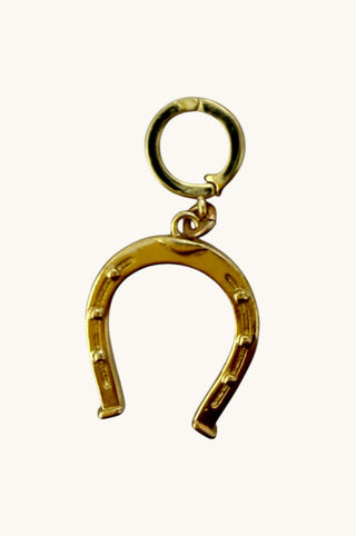 Horseshoe Charm